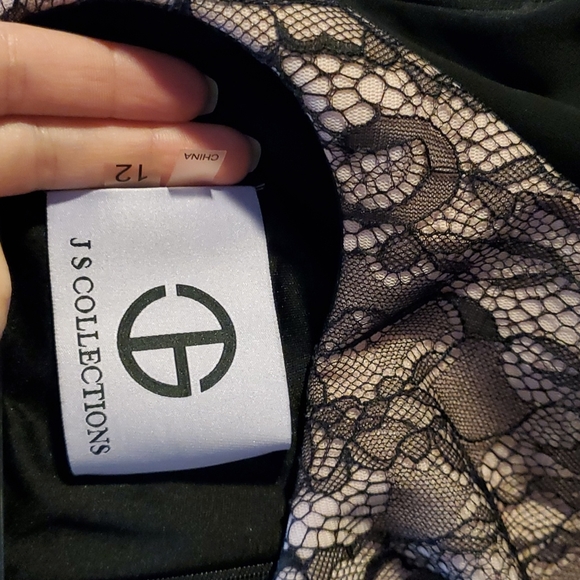 NWOT- JS Collections Black&Blush Pink Dress w/ Lace and Chiffon Netting Details - Picture 10 of 11